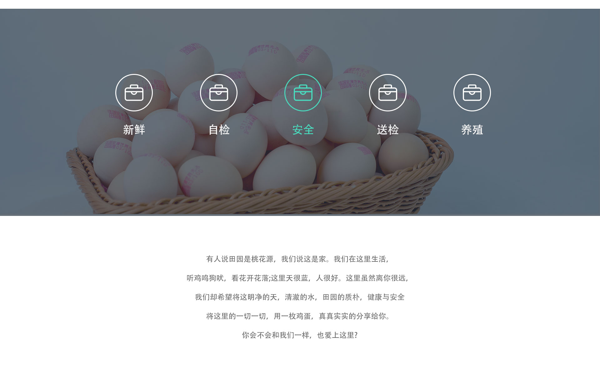 鸡蛋批发一手货源价格怎么谈 老销售讲清采购和行情
